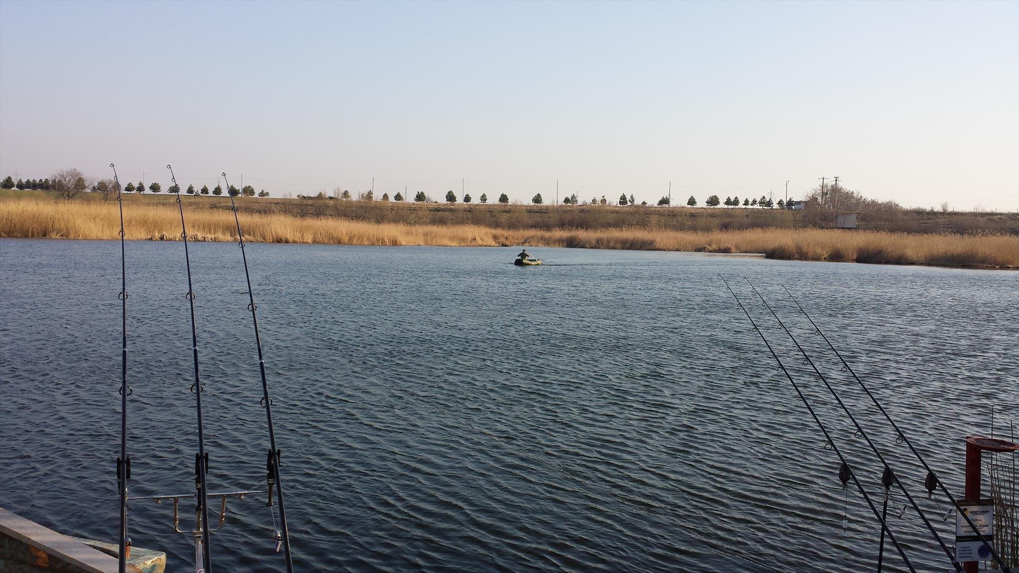 Tancabesti 14 - 16 mar. - 2014-03-14-1626291.jpg